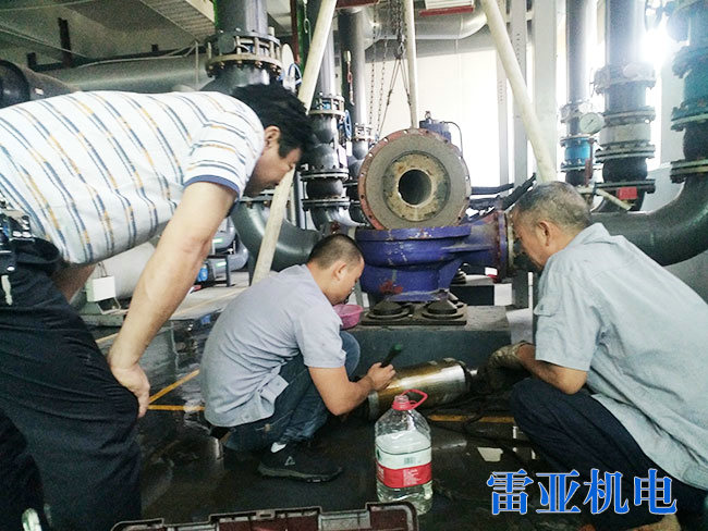 長沙旺德府實業(yè)屏蔽水泵1