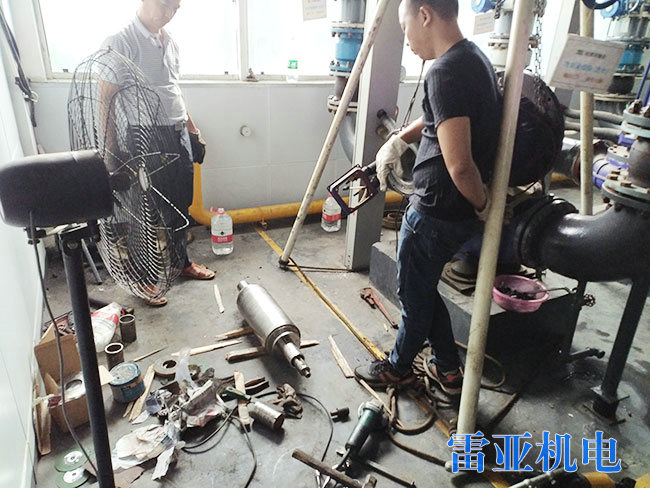 長沙旺德府實業(yè)屏蔽水泵6